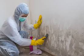 Asbestos and Lead Testing During Mold Inspection in Bluffton, IN